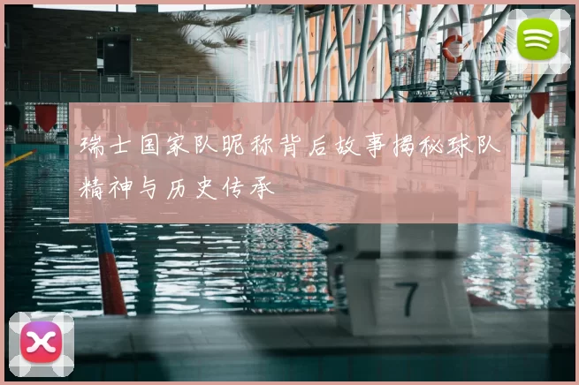 瑞士国家队昵称背后故事揭秘球队精神与历史传承