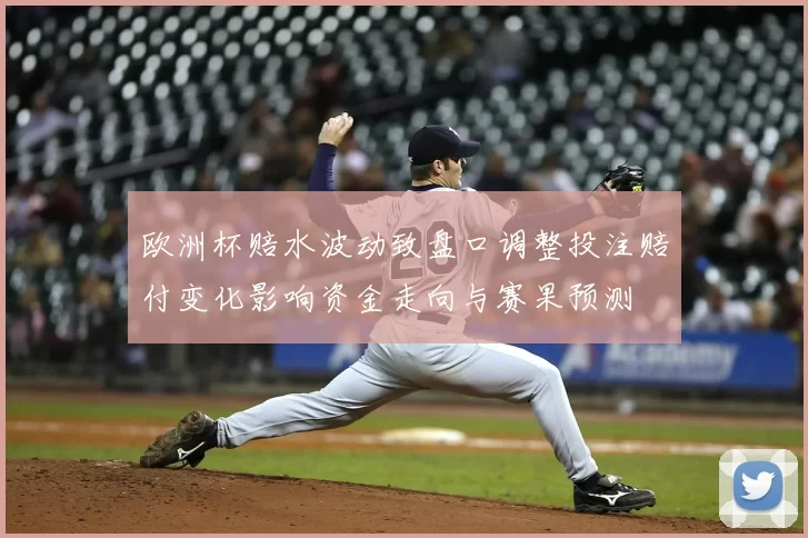 欧洲杯赔水波动致盘口调整投注赔付变化影响资金走向与赛果预测